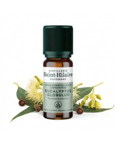 Eucalyptus globulus en huile essentielle Bio Eucalyptus globulus en huile essentielle Bio