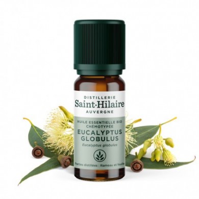 Eucalyptus globulus en huile essentielle Bio Eucalyptus globulus en huile essentielle Bio