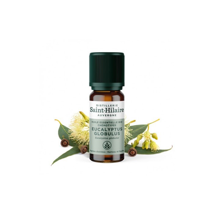 Eucalyptus globulus en huile essentielle Bio