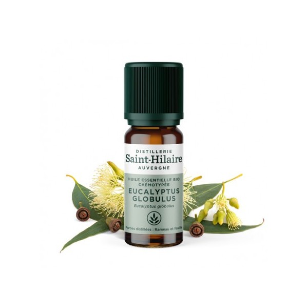Eucalyptus globulus en huile essentielle Bio