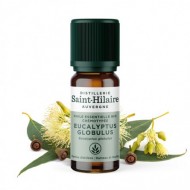 Eucalyptus globulus en huile essentielle Bio Eucalyptus globulus en huile essentielle Bio