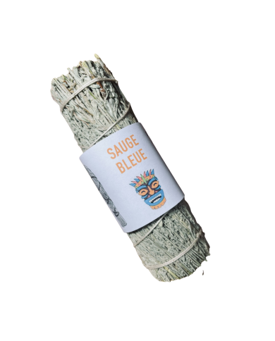 Sauge Bleue à brûler