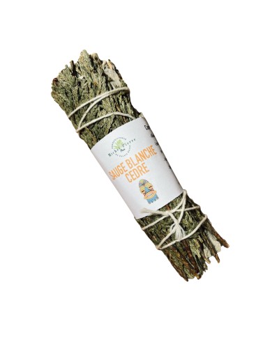 Sauge blanche et Cèdre à brûler Sauge blanche et Cèdre à brûler