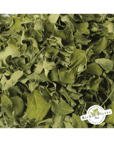 Moringa - Feuille en vrac -  HEBORISTERIE DU PALAIS ROYAL PARIS MICHEL PIERRE Moringa - Feuille en vrac -  HEBORISTERIE DU PALAIS ROYAL PARIS MICHEL PIERRE