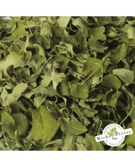 Moringa - Feuille en vrac -  HEBORISTERIE DU PALAIS ROYAL PARIS MICHEL PIERRE