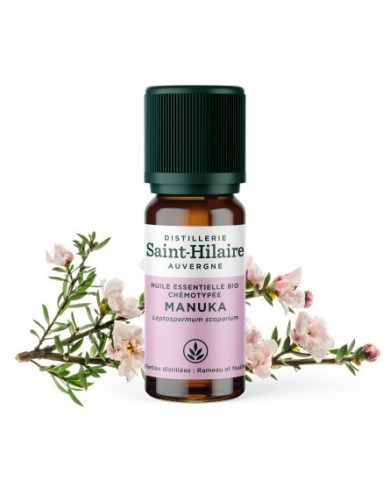 Manuka en huile essentielle Bio Manuka en huile essentielle Bio