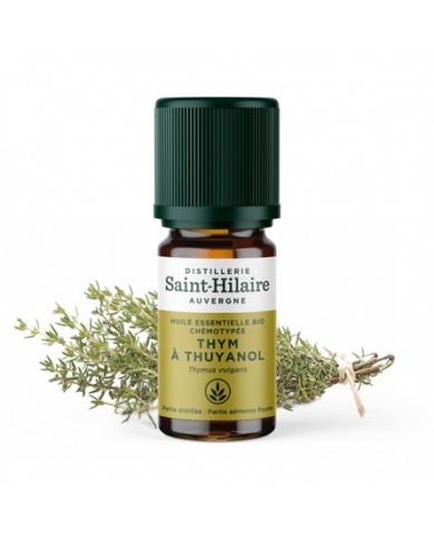 Thym à thuyanol bio