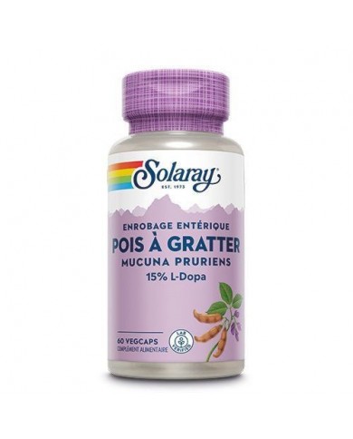 Pois a gratter (mucuna pruriens) Pois a gratter (mucuna pruriens)