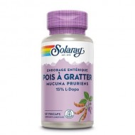 Pois a gratter (mucuna pruriens)