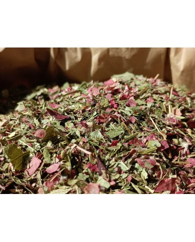 Tisane de l'été - la tisane de saison!