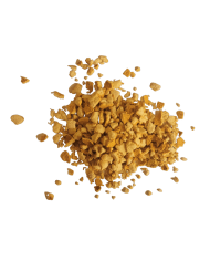 Oranger bigaradier - Boutons en vrac