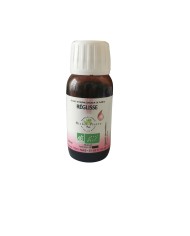 Tisane de l'Automne - Spéciale "énergie"! Tisane de l'Automne - Spéciale "énergie"!