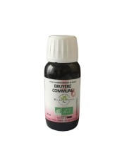 Pin Sylvestre aiguilles bio Pin Sylvestre aiguilles bio