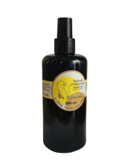 Ravintsara en eau florale Bio