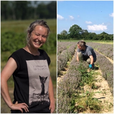 Thym à Thujanol en eau florale Bio