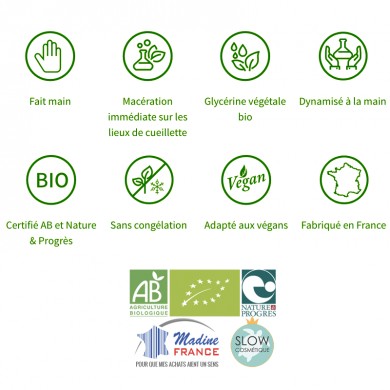 Noyer bourgeons en liquide sans alcool Bio Noyer bourgeons en liquide sans alcool Bio