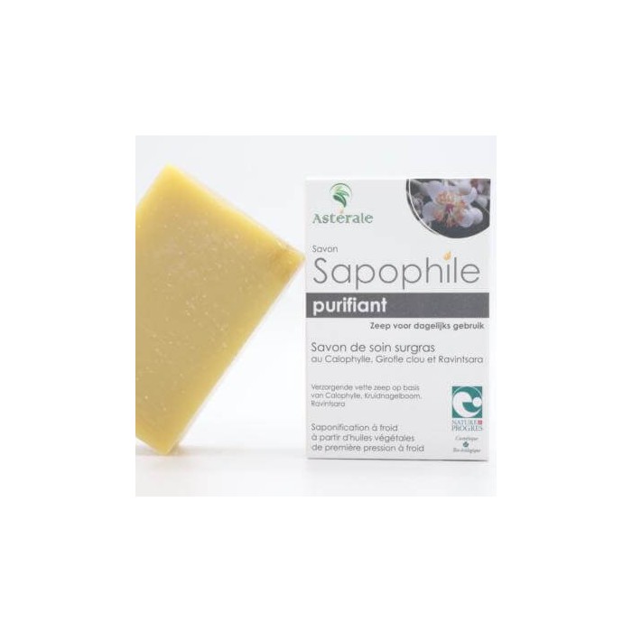 Savon Sapophile Astérale Purifiant