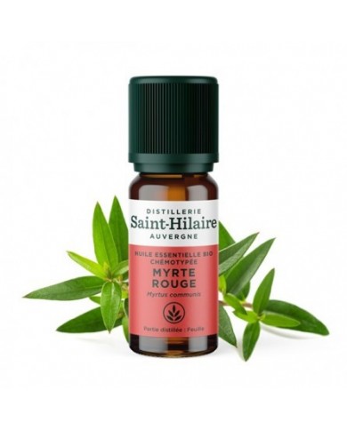 Myrte rouge en huile essentielle Bio Myrte rouge en huile essentielle Bio