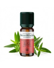 Lemongrass en huile essentielle Bio