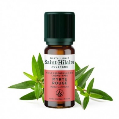 Myrte rouge en huile essentielle Bio Myrte rouge en huile essentielle Bio