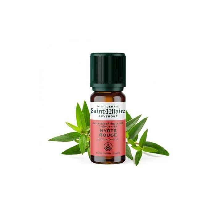 Myrte rouge en huile essentielle Bio
