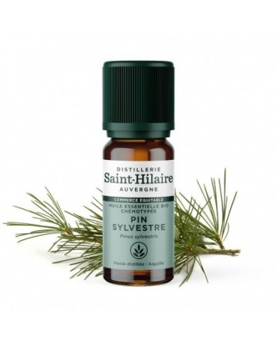 Pin Sylvestre en huile essentielle Bio Pin Sylvestre en huile essentielle Bio