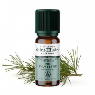 Pin Sylvestre en huile essentielle Bio Pin Sylvestre en huile essentielle Bio