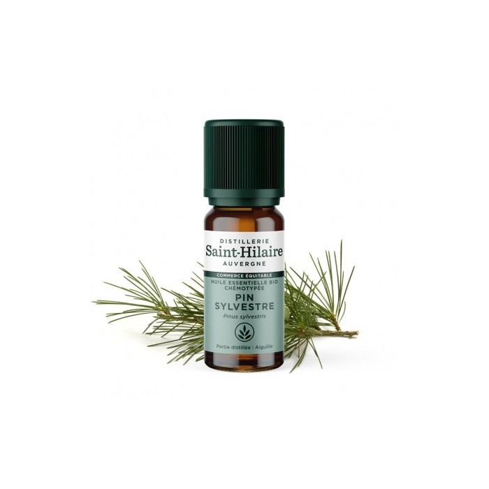 Pin Sylvestre en huile essentielle Bio