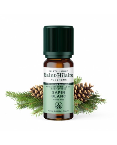 Sapin blanc en huile essentielle Bio Sapin blanc en huile essentielle Bio