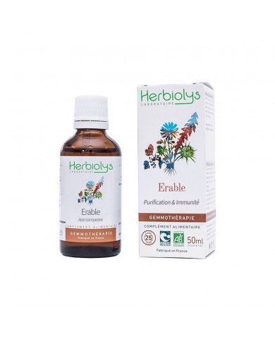 Erable bourgeons en liquide Bio Erable bourgeons en liquide Bio