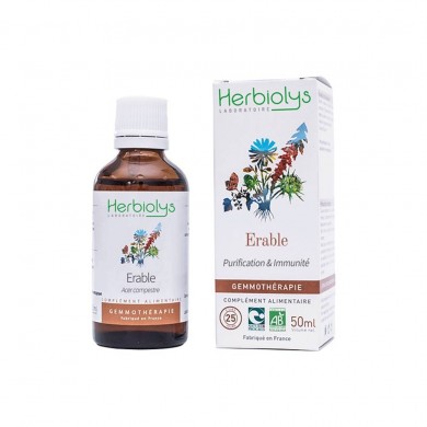 Erable bourgeons en liquide Bio Erable bourgeons en liquide Bio