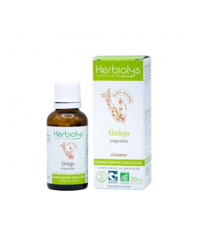 Ginkgo biloba bourgeons en liquide sans alcool Bio Ginkgo biloba bourgeons en liquide sans alcool Bio