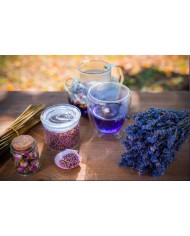 Gingembre confit Bio