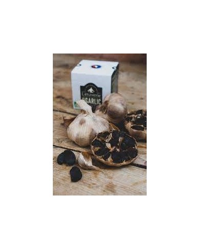 Ail noir tête entière bio Ail noir tête entière bio