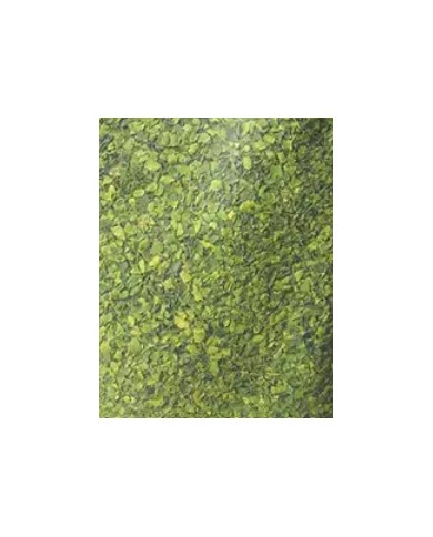 Combava feuille en vrac 50gr Combava feuille en vrac 50gr