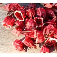 Hibiscus calice en vrac