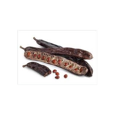 Caroubier fruit en vrac Caroubier fruit en vrac