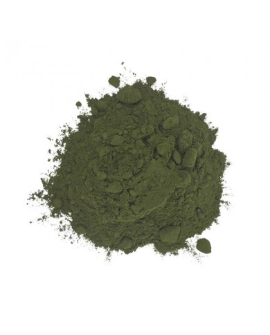 Chlorella en poudre 100 gr Chlorella en poudre 100 gr
