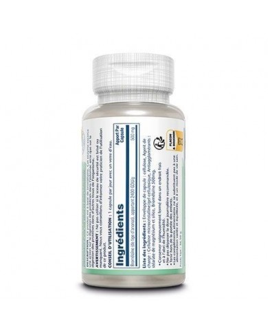 Bromelaïne en capsules Bromelaïne en capsules