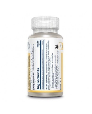 Serrapeptase 10mg - en Capsules Serrapeptase 10mg - en Capsules