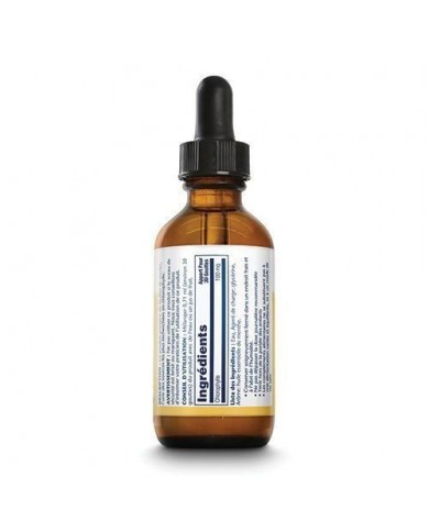 Chlorophylle Extrait liquide 20X Chlorophylle Extrait liquide 20X