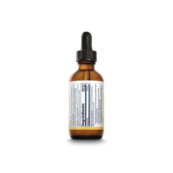 Chlorophylle Extrait liquide 20X