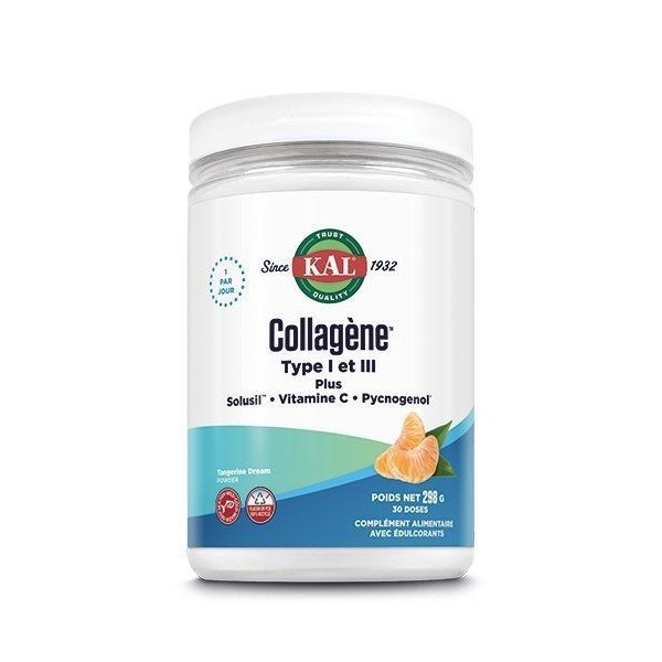 Collagène Type I et III en poudre