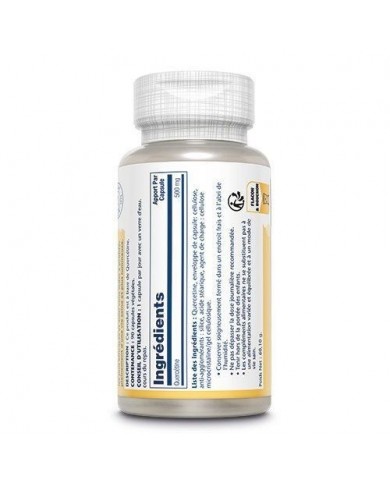 Quercetine 500mg 90 gélules