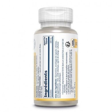 Quercetine 500mg 90 gélules