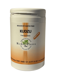 Millepertuis en gélules Bio