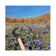 Bleuet en eau florale Bio