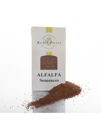 Alfalfa - Semences en vrac Alfalfa - Semences en vrac