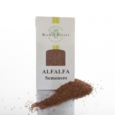Alfalfa - Semences en vrac Alfalfa - Semences en vrac