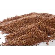 Alfalfa - Semences en vrac